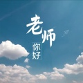 老师您好