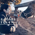 美丽陈叔、美丽吉叔、ADMG、白先森 - 爱的虚伪 (美丽陈叔|美丽吉叔|精彩ADMG|白先森 remix)