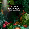 Bulaklak - Rainforest