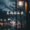 燕宝儿 - 真的好无奈