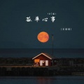 王琪琪 - 孤单心事