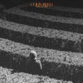 Through a Maze