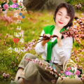 李相芬 - 爱你却让我心碎