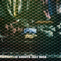 10 Smooth Jazz Dusk