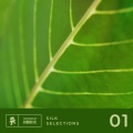 Ra5im、Cloudcage - Euphoria