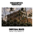 Disposal Beats - What You Want It (Original Mix)
