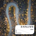 林锦源 - 来匆匆去匆匆