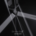 Echolocation - One more Night