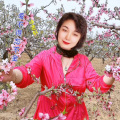 李相芬 - 爱不得忘不舍
