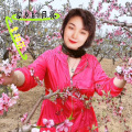 李相芬 - 家乡的月亮