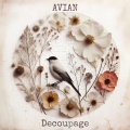 Avian - Fragmented