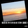 刘皓轩 - 你夜夜不归我夜夜买醉
