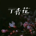 丁香花 (烟嗓版)