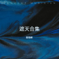 陈晓峰 - 遮天-辰东作词