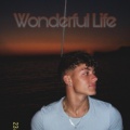 DustinBR、nvro - Wonderful Life (feat. Nvro)(Special Version)