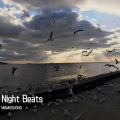 Night Beats