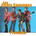 Les Chats Sauvages - Amour et rock