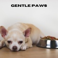 Chiens relaxation profonde、Puppy Music、Music For Dogs Peace、Relaxing Music for Dogs - Gentle Paws