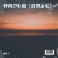 张建飞 - 转身即心痛
