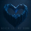 Never Let Me Down