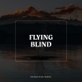 Flying Blind