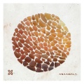 Anaamaly - Sands of Time
