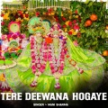 Tere Deewana Hogaye