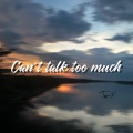 Can't talk too much