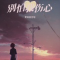 别怕我伤心
