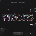 Pieces