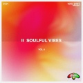 Soulful Vibes Vol. 6