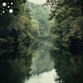 Tranquil River Flow
