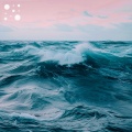 Harmonic Waves