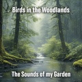 Birds in the Woodlands