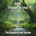 Breeze Through the Trees