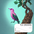 大三儿 - TUI (大三儿 remix)