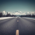 Cruzin Yukon