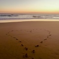 Toxic Love (Explicit)