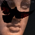 旷野之翼(Endless Wings)