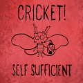 Cricket! - Pothole