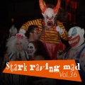 Stark Raving Mad, Vol. 36 (Explicit)