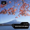 Garmi钙米 - 若是月亮还没来