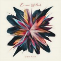 Evonne Willard - Obtain