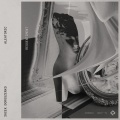 Jacek Doroszenko - Domestic