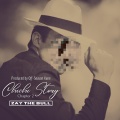 ZAY the Bull - Freelance