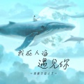 我在人海遇见你 (DJ阿诺版)