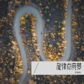 陈美英 - 心情像彩虹