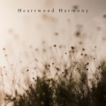 Heartwood Harmony (A Centered Calm)