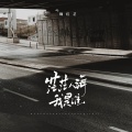 魏佳艺 - 茫茫人海我是谁