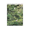 The Naomi Gee Wright Band - Acer